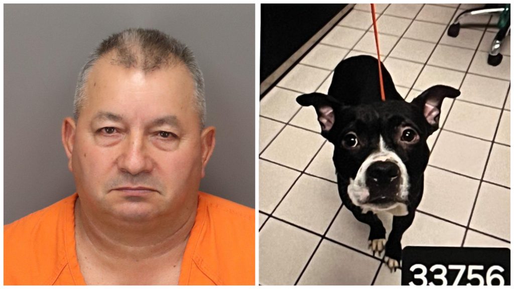 Domingo R. Rodriguez, 66, and Dexter, a bulldog mix, 4, found dead at Ft. DeSoto State Park. (Photos: PCSO)
